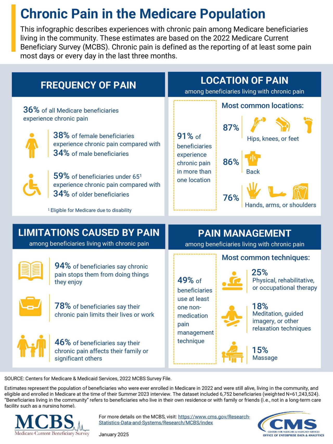 2022 Chronic Pain in the Medicare Population Infographic